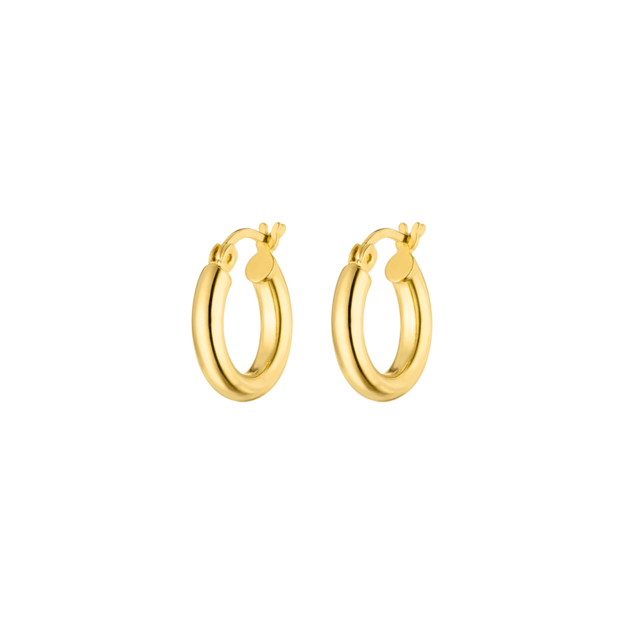   Small Hoops Gold